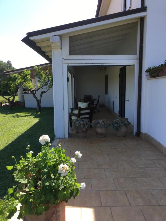 טרקיניה Villa Olga מראה חיצוני תמונה