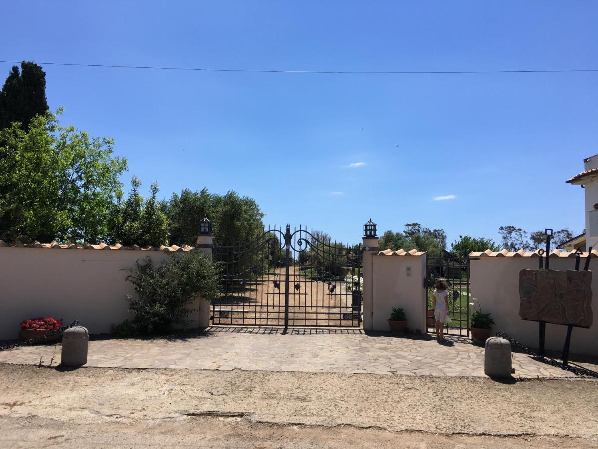 טרקיניה Villa Olga מראה חיצוני תמונה