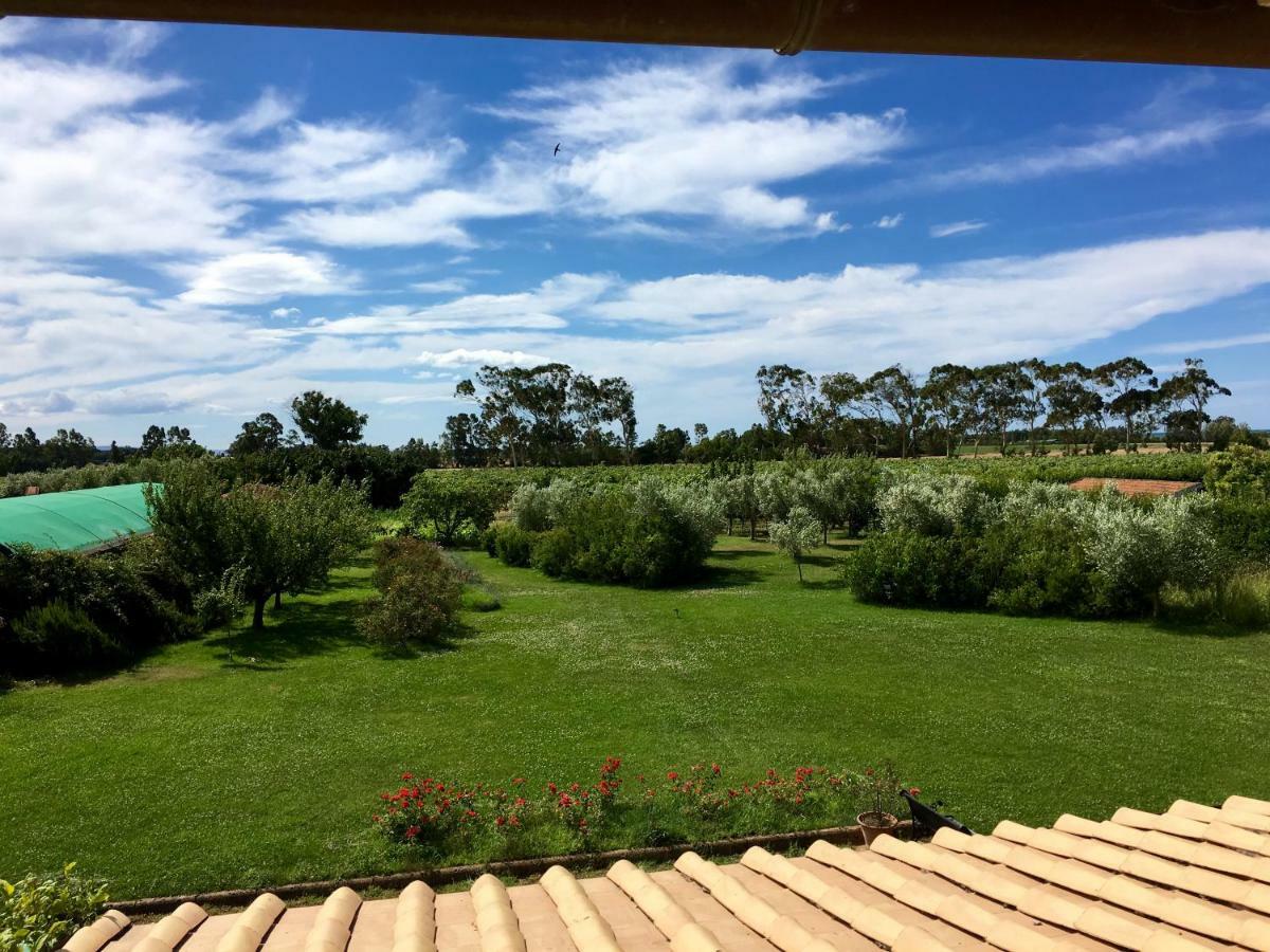 טרקיניה Villa Olga מראה חיצוני תמונה